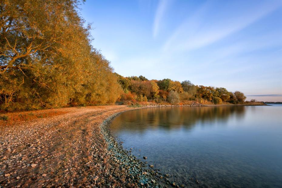 Grafham Water Lodge Bagian luar foto