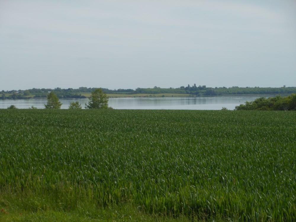 Grafham Water Lodge Bagian luar foto